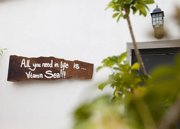 Πανσιόν Amar & 2*