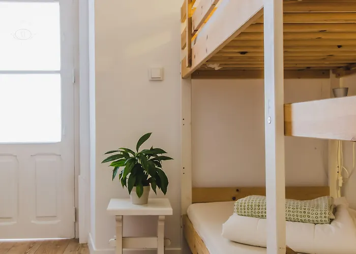 Amar & אריסרייה