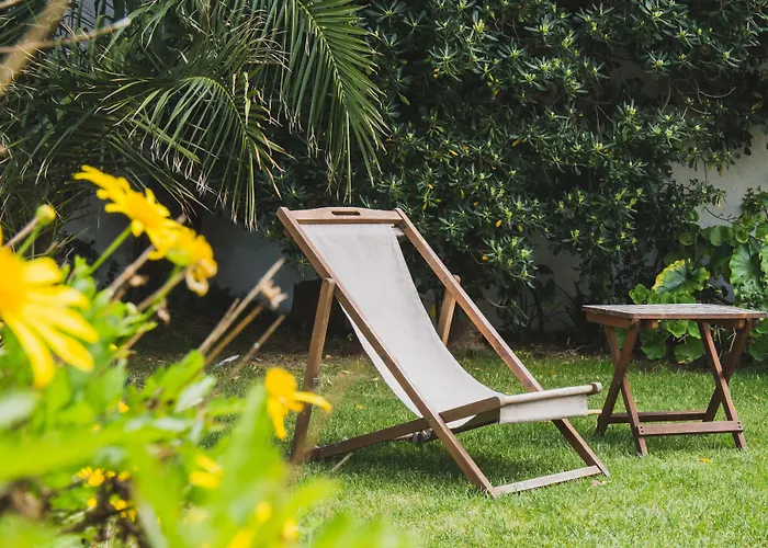 Amar & אריסרייה